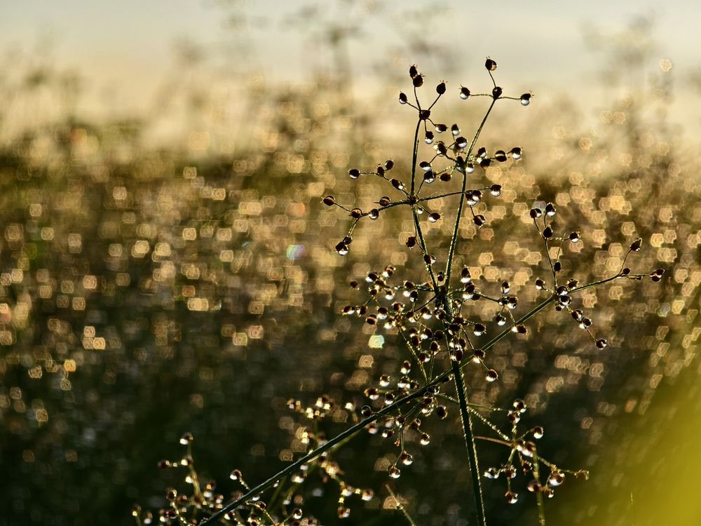 Photograph by Thịnh Nguyễn