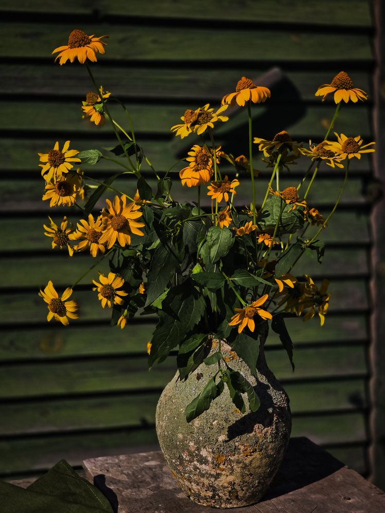 Photograph by Татьяна Гуцанович