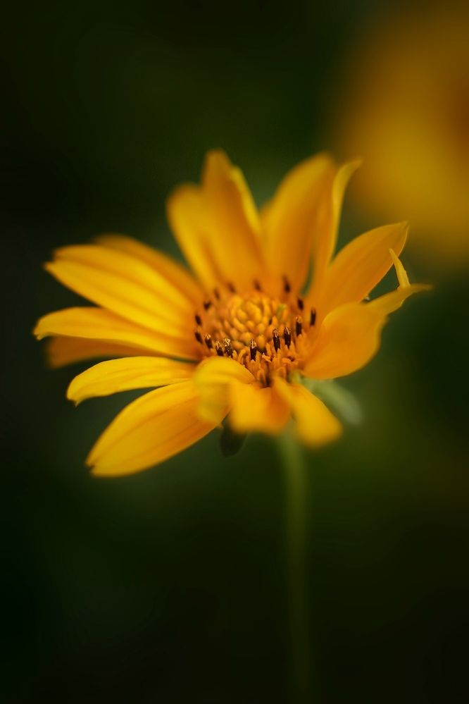 Photograph by Татьяна Бравая