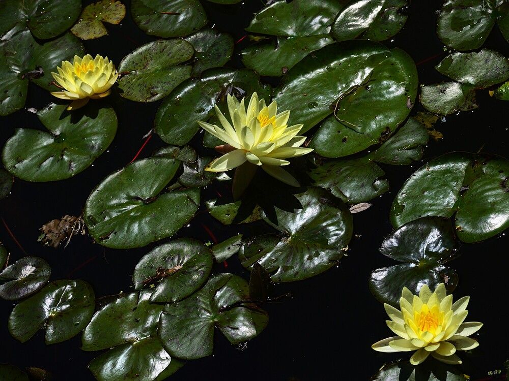 Photograph by Jozef Potocký