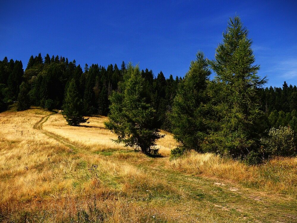 Photograph by Jozef Potocký