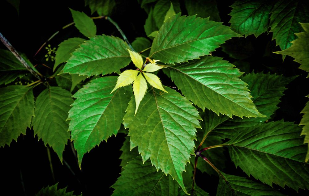 Photograph by Вячеслав Лычков