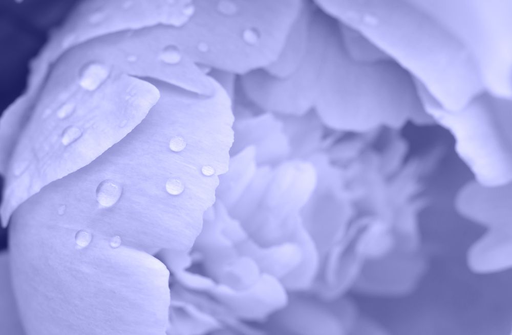 Фотография автора Oleksandr Shatyrov