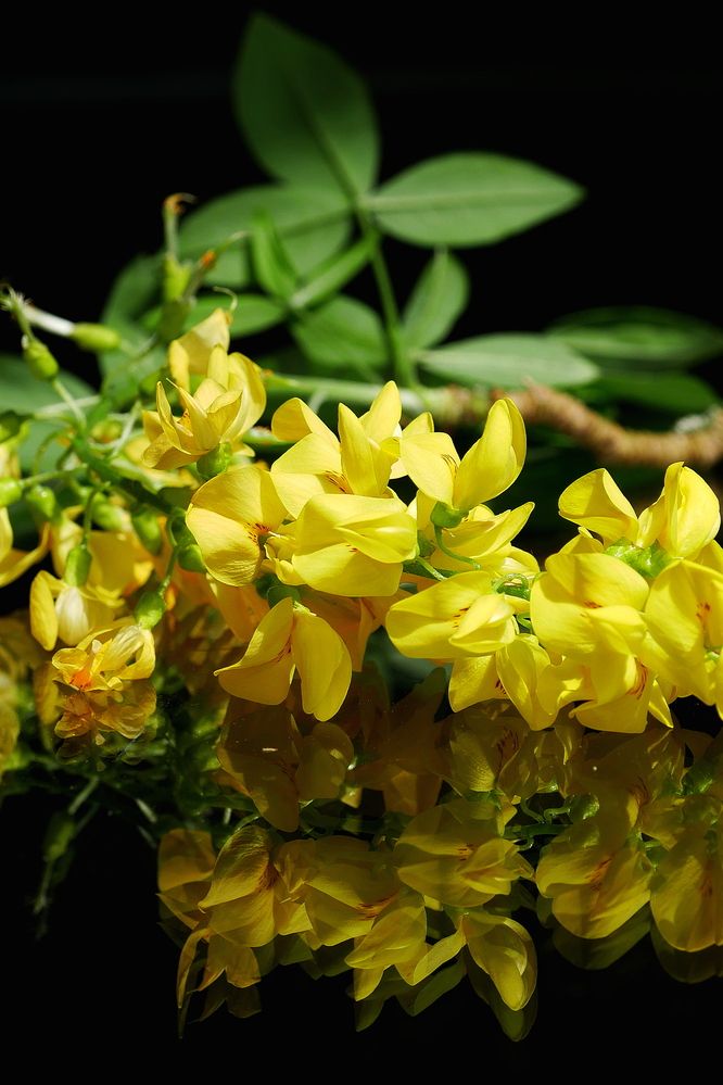 Photograph by Владимир Лобанов