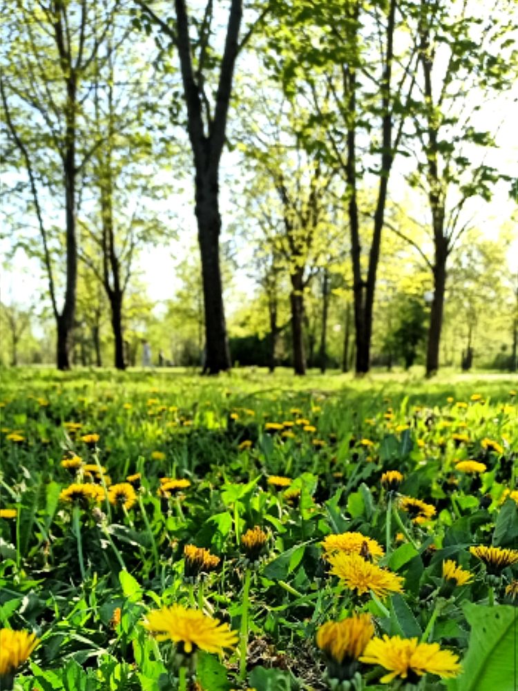 Photograph by Виорика Фоменко