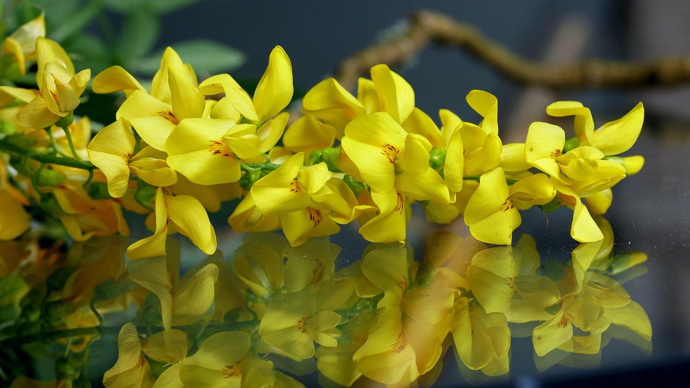 Photograph by Владимир Лобанов