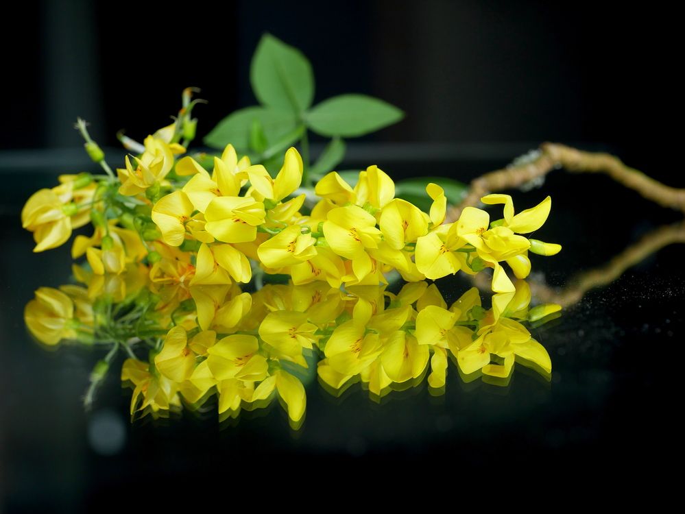 Photograph by Владимир Лобанов