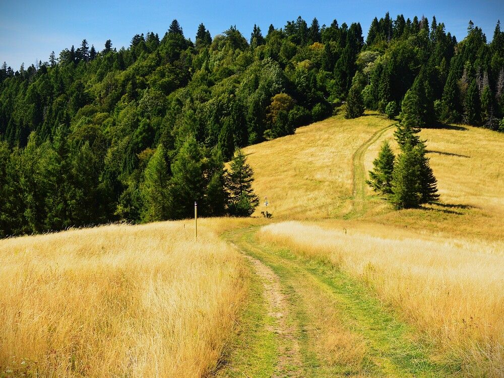 Photograph by Jozef Potocký