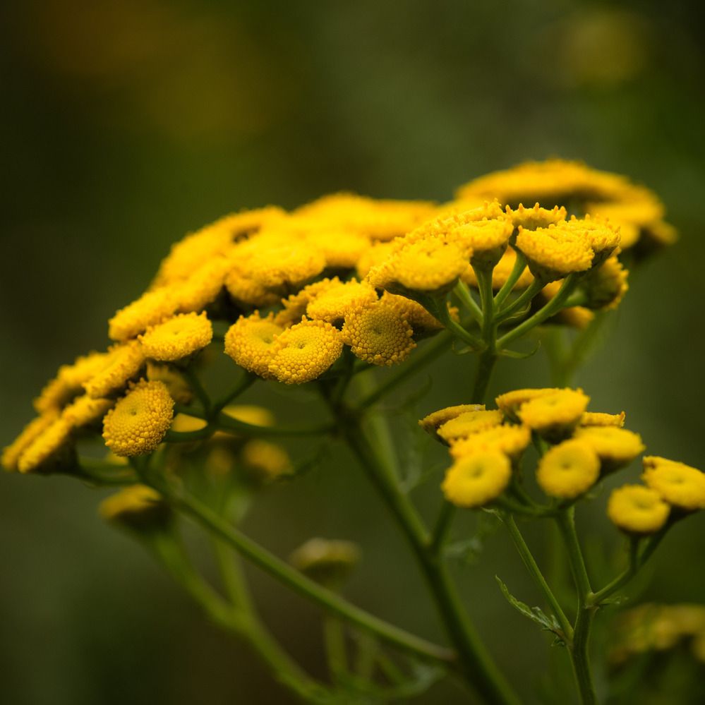 Photograph by Ксения Шилина