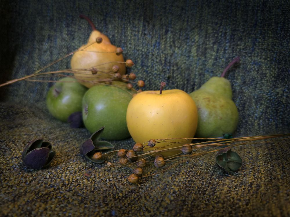 Photograph by Марина