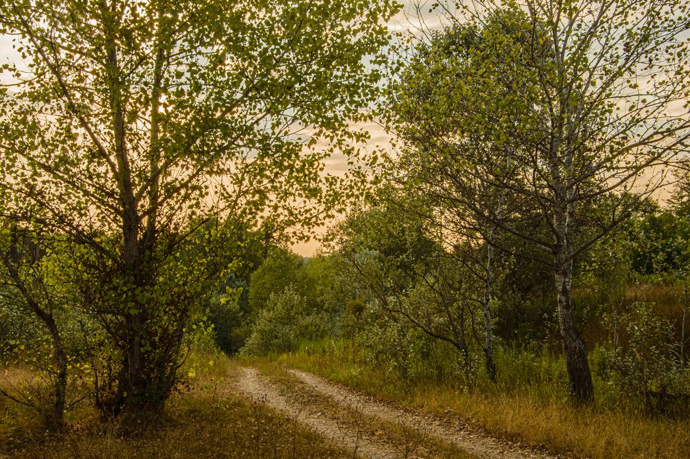 Photograph by Михаил Еремеев