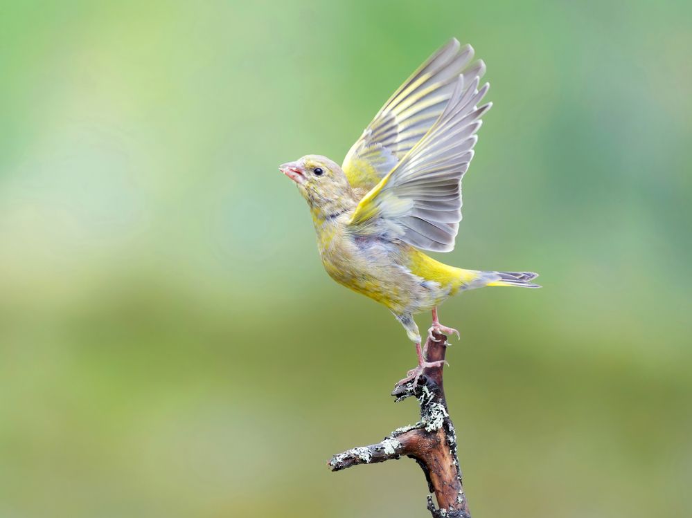 Photograph by Jørgen Hovde