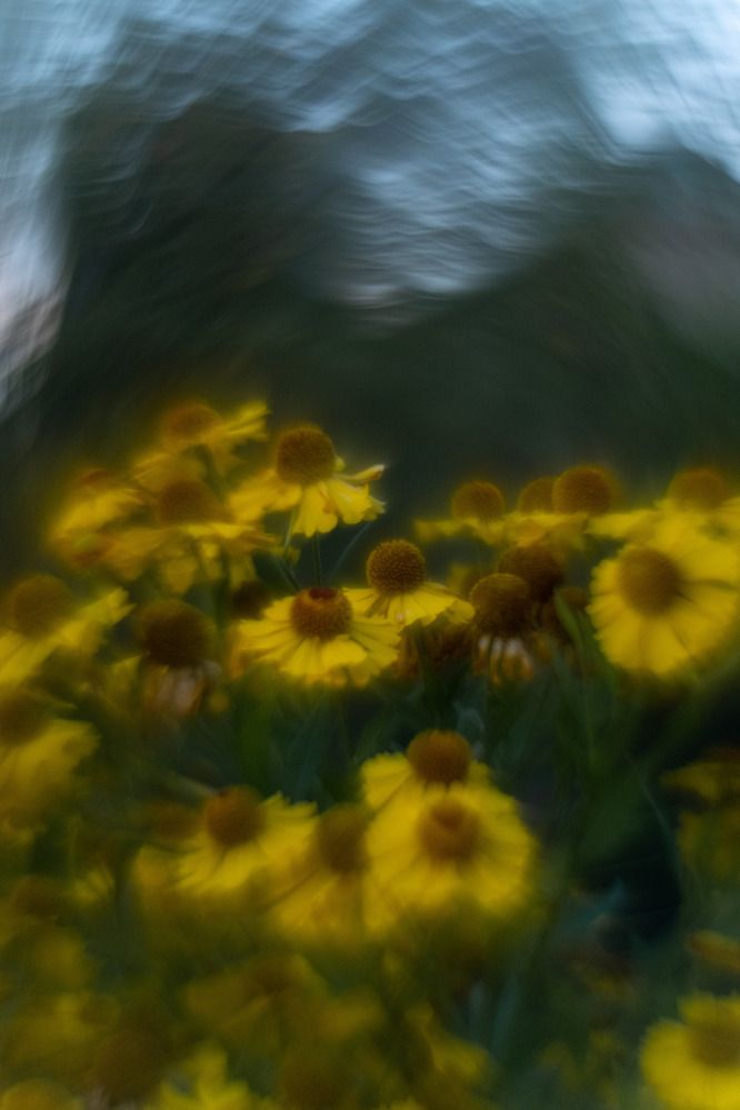 Photograph by Александр Стрельченко