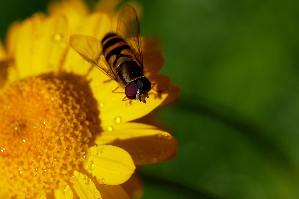 Photograph by Владимир Лобанов