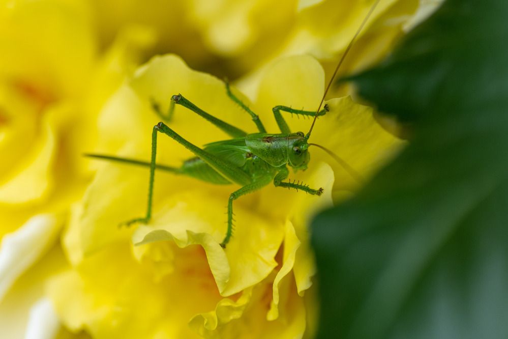 Photograph by Александр Стрельченко