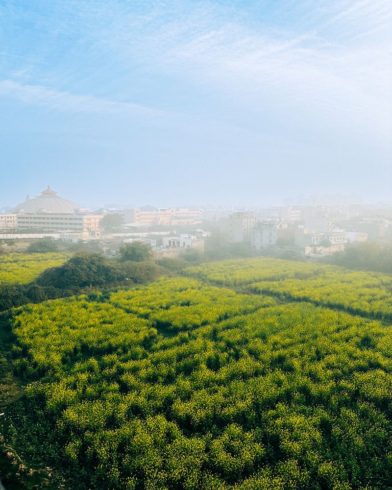 Фотография автора Kriti Kwatra