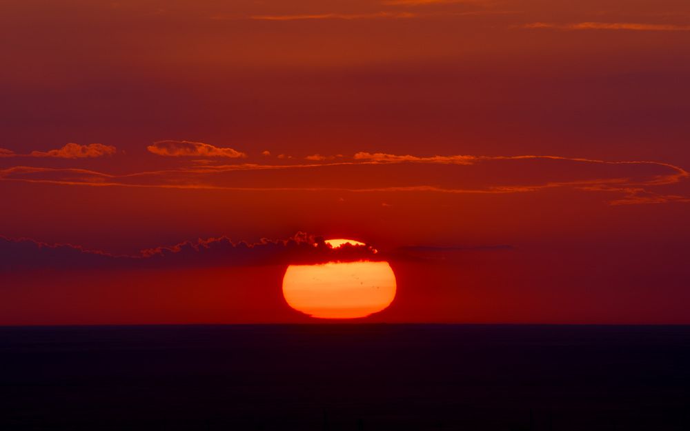 Photograph by Леонид Синев