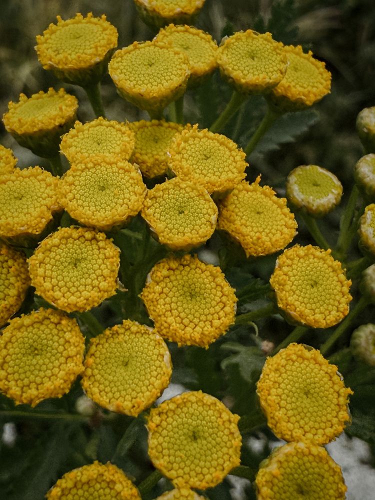 Фотография автора Анастасия