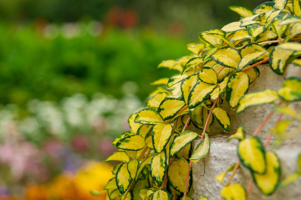 Фотография автора Антон Ульрих