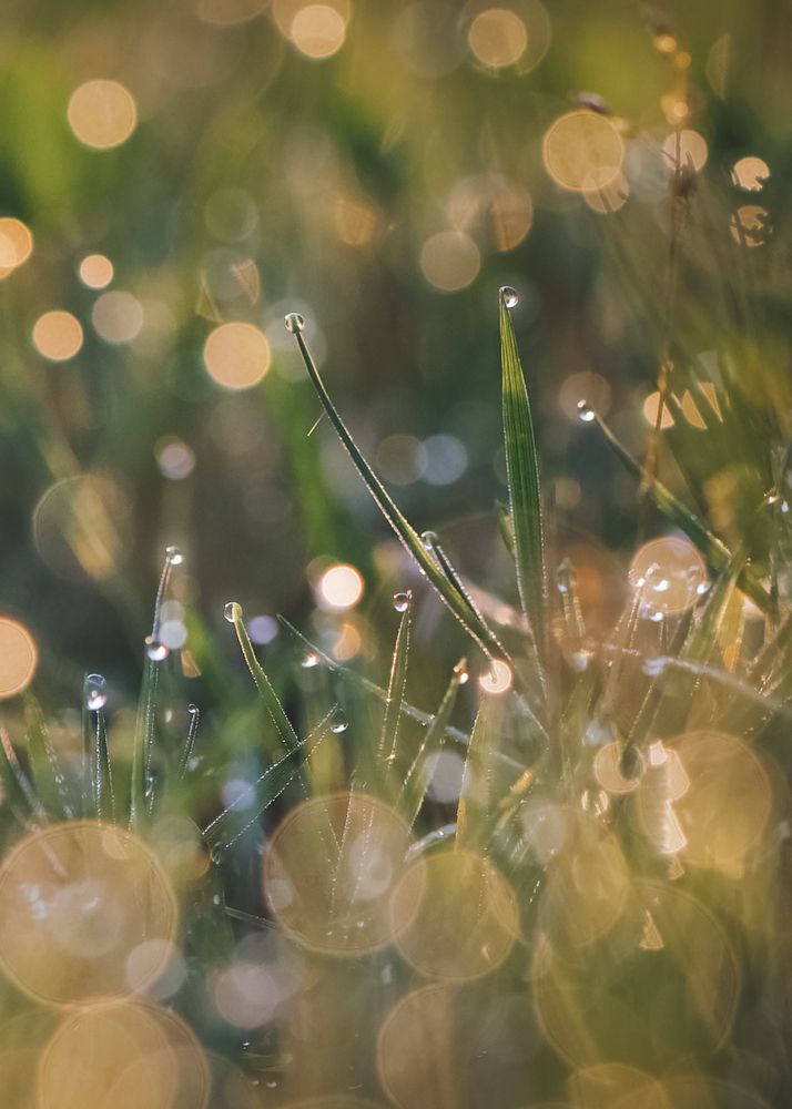 Фотография автора Ольга Белоусова