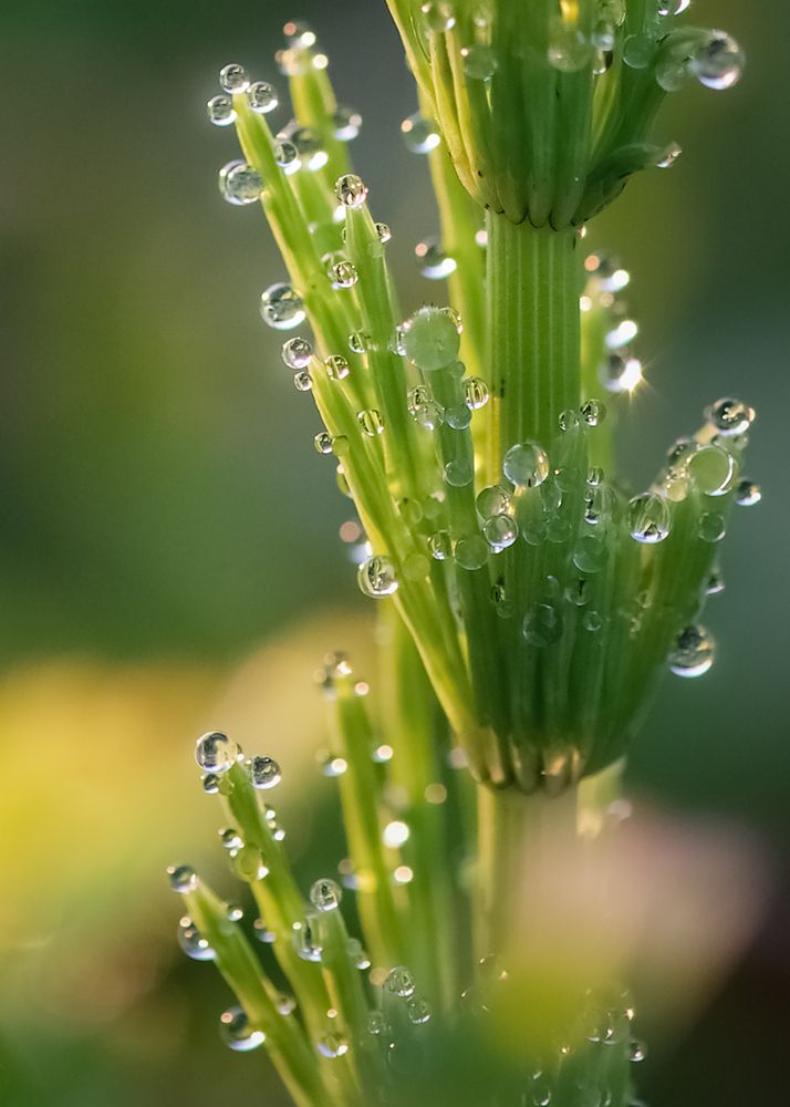 Фотография автора Ольга Белоусова