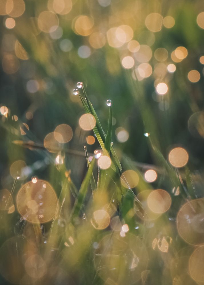 Фотография автора Ольга Белоусова