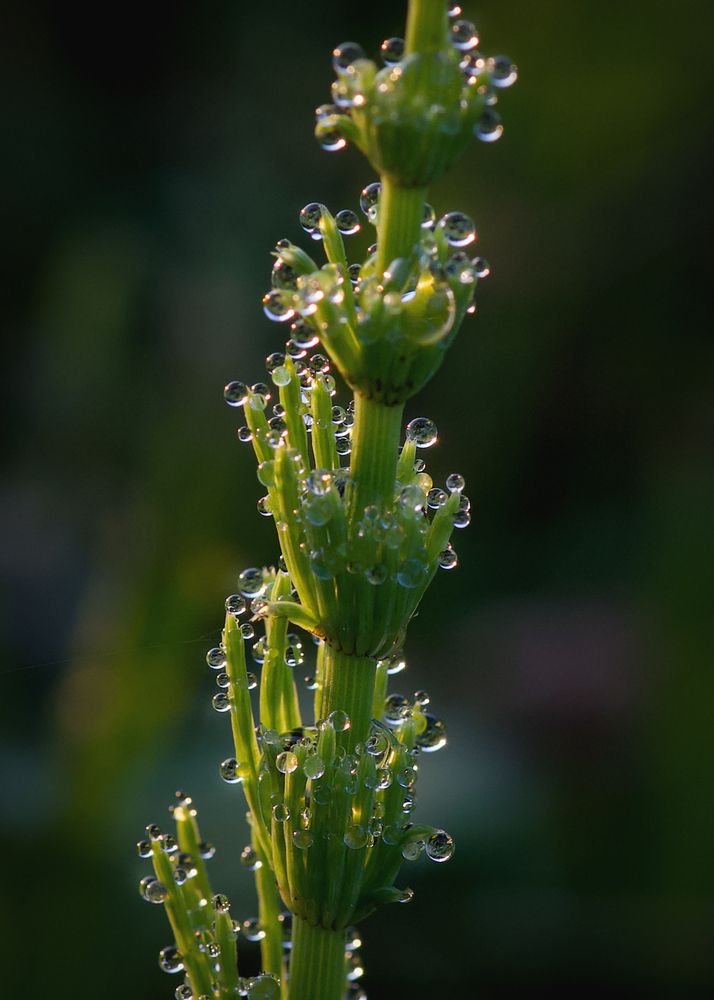 Фотография автора Ольга Белоусова