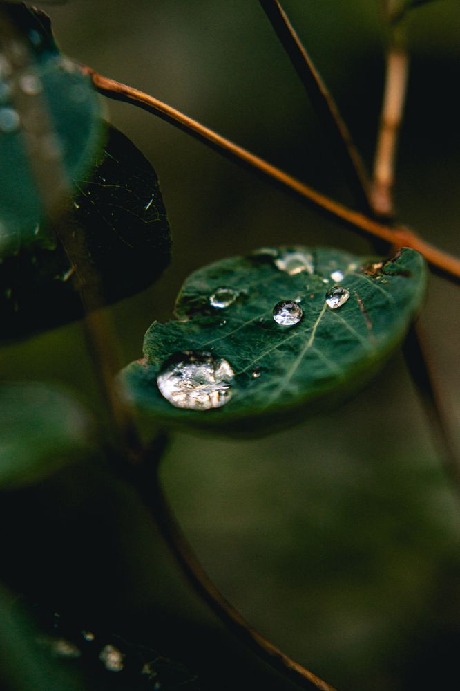 Photograph by шитиков никита