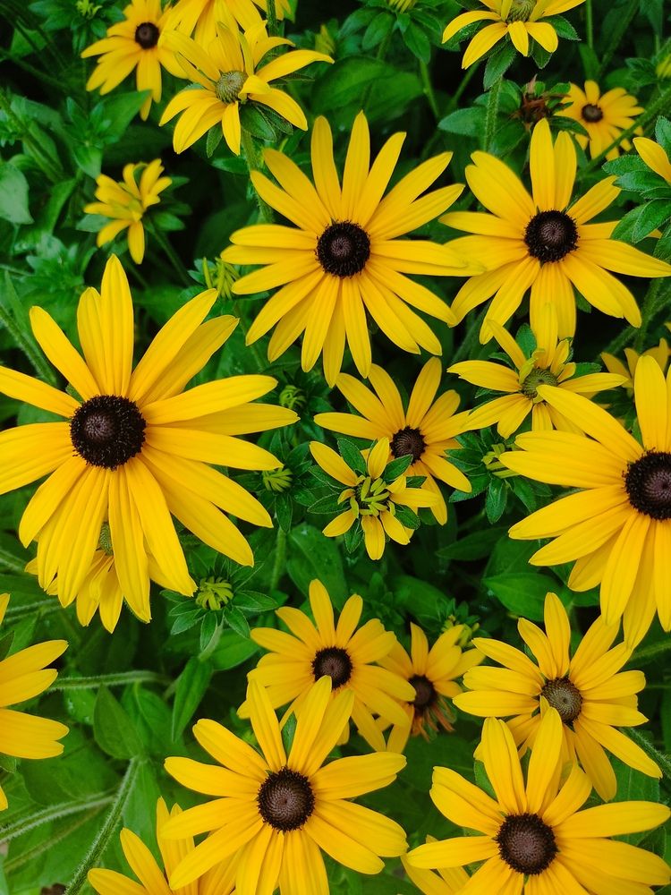 Photograph by Наталья Билай