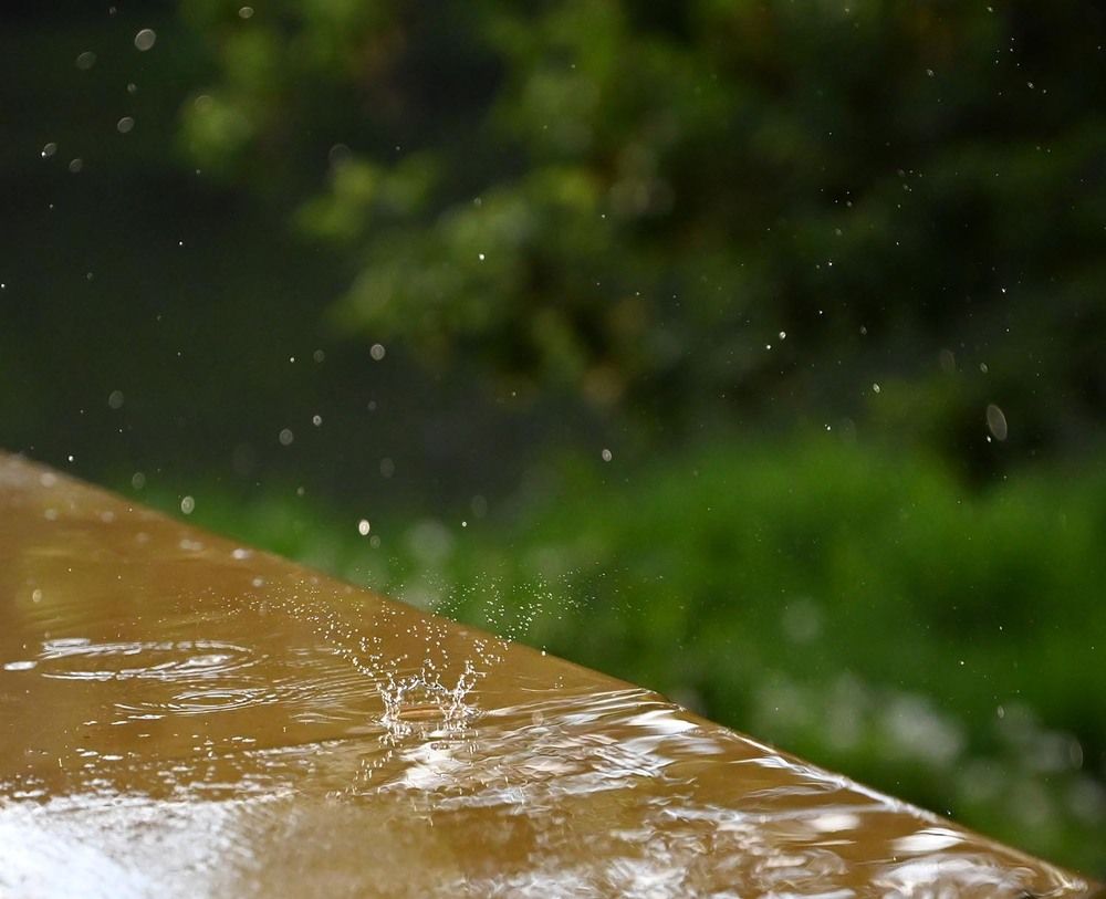 Photograph by Ксения