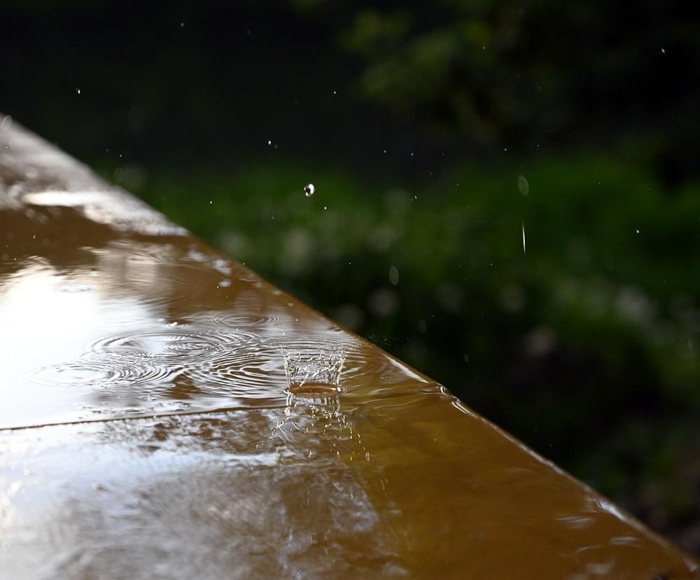 Photograph by Ксения