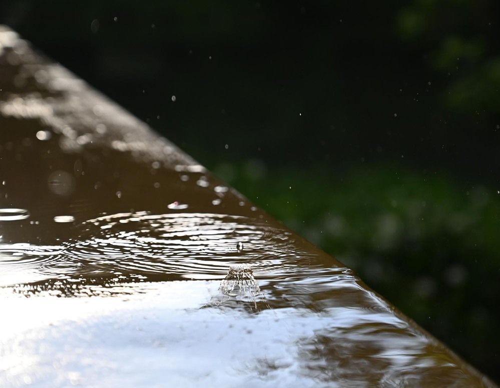 Photograph by Ксения