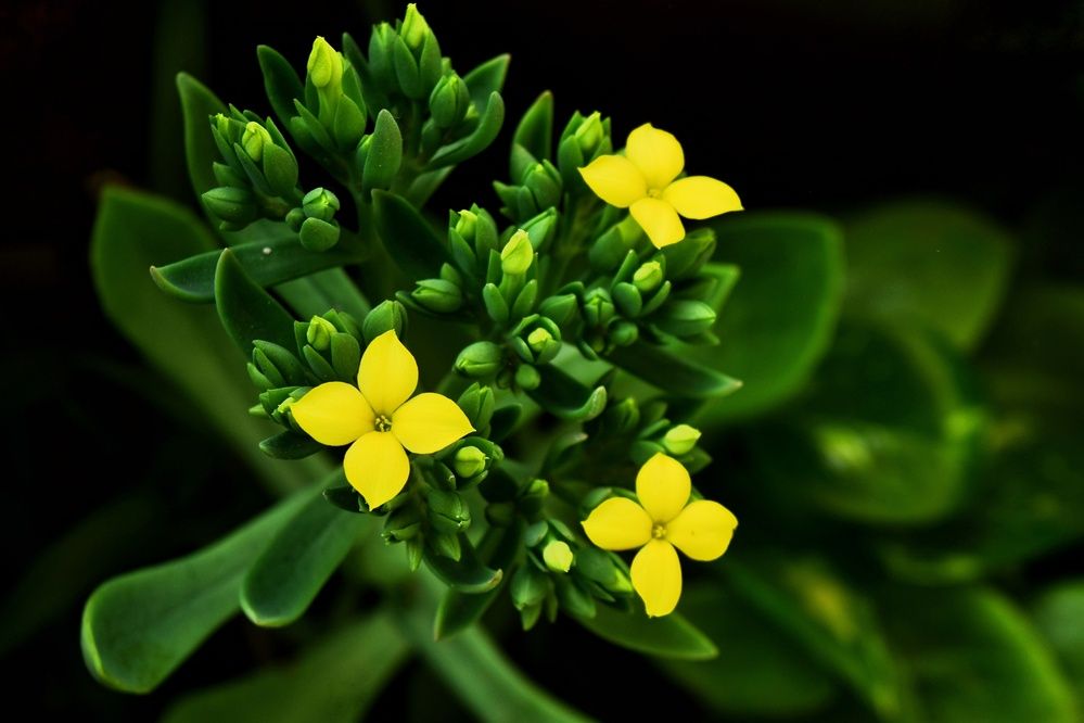 Фотография автора Sheuli Akther