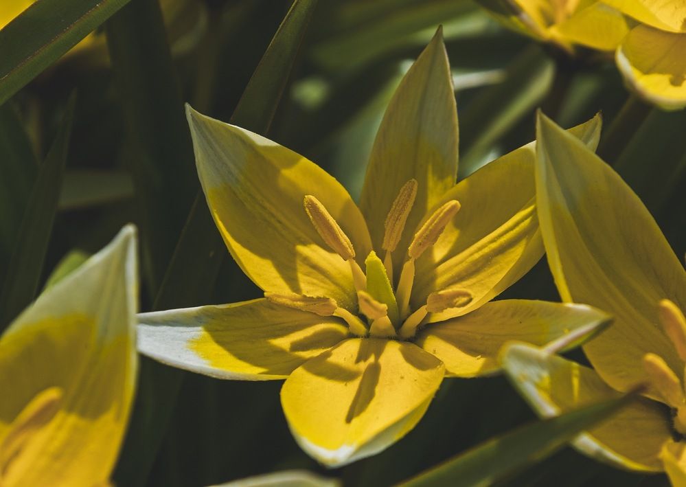 Photograph by Елизавета Большакова