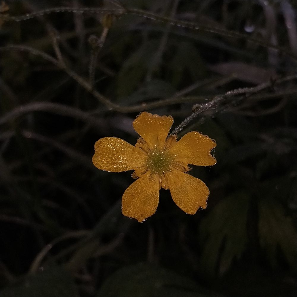 Photograph by Олеся Матвеева