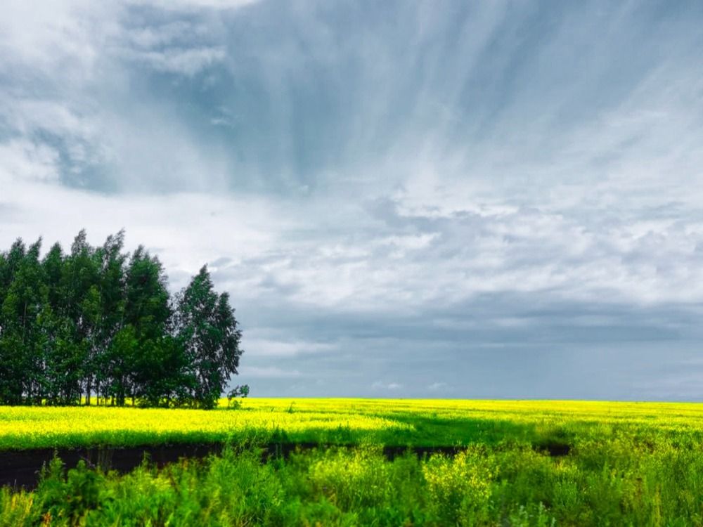 Photograph by Юлия Гусева