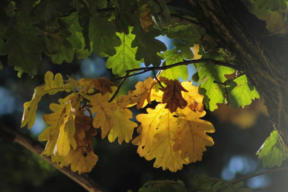 Photograph by Антон Иванов