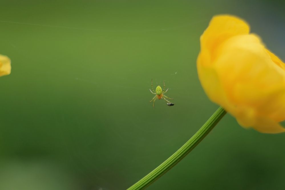 Photograph by Антон Иванов