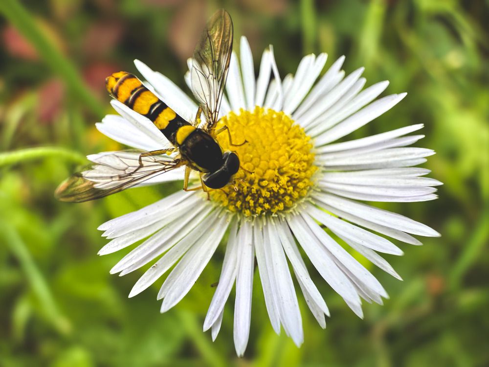 Photograph by Елена Чулюнина