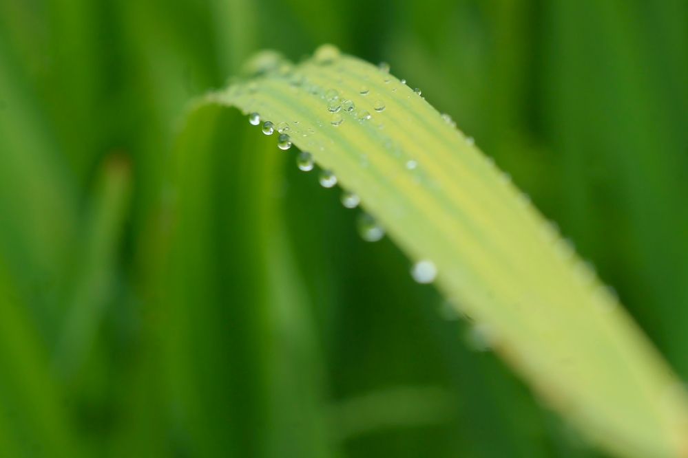 Photograph by Антон Иванов