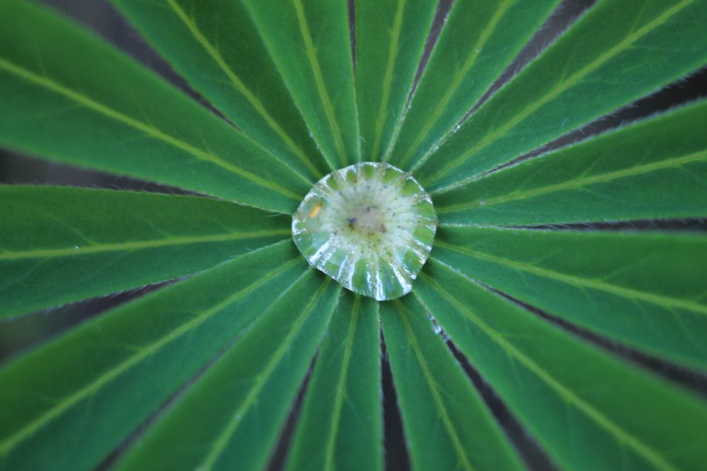 Photograph by Антон Иванов