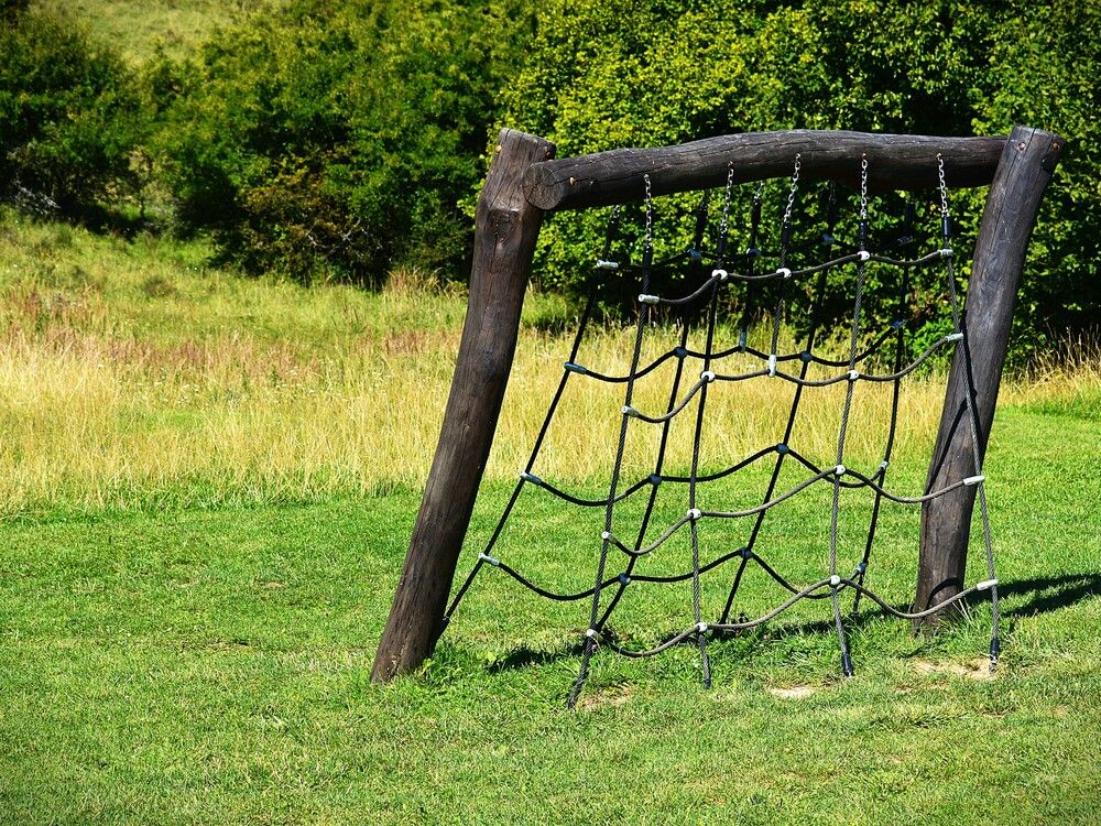 Full summer in the meadow