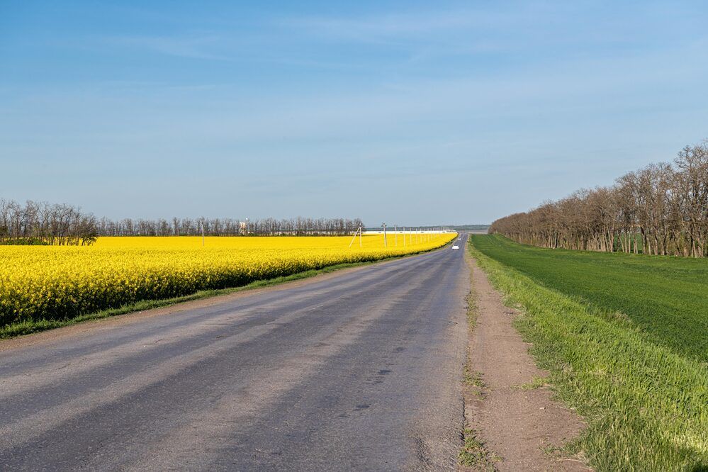 Пограничная дорога