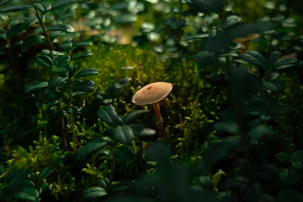 Photograph by Павел Кузнецов