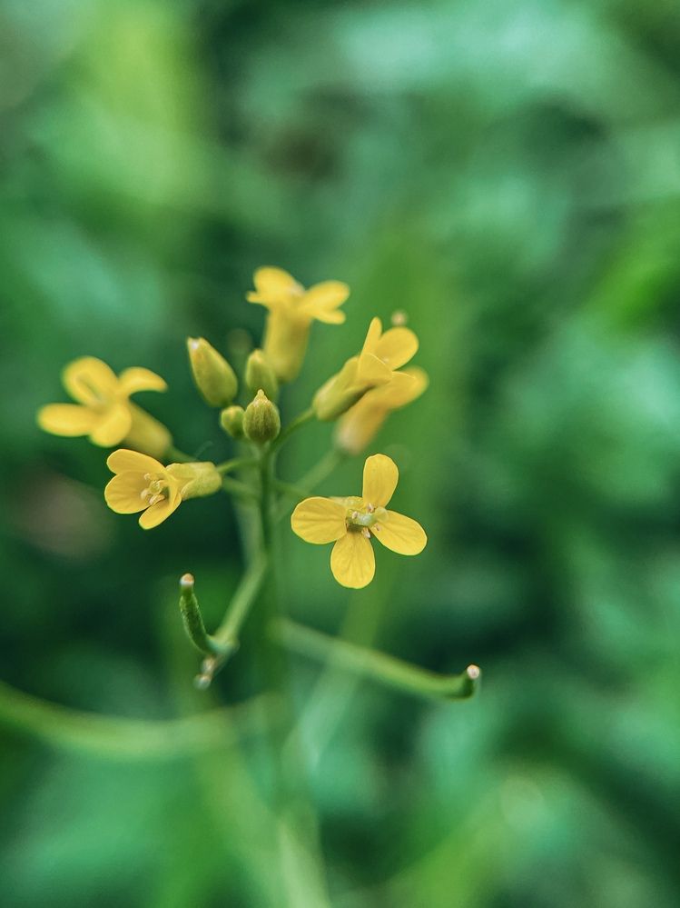 Фотография автора Анастасия