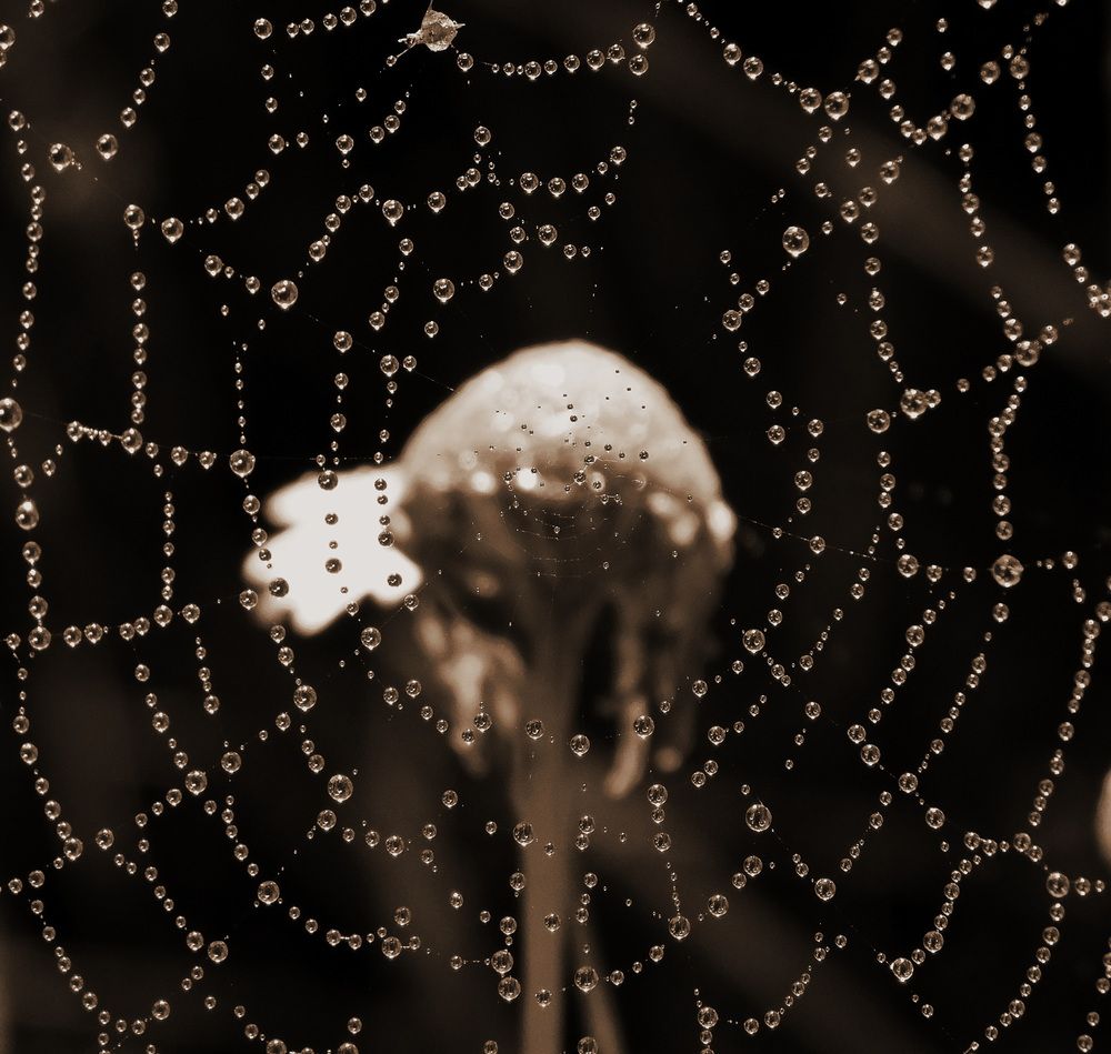 Photograph by Сергей Чеченов