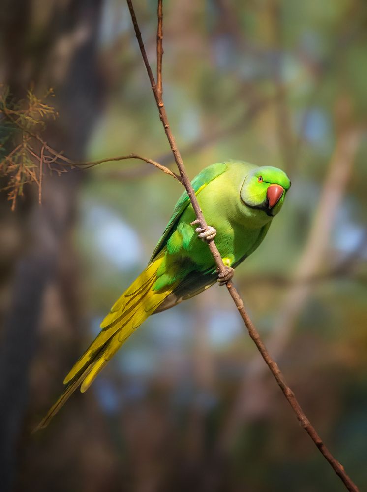 Photograph by Марина Ческис