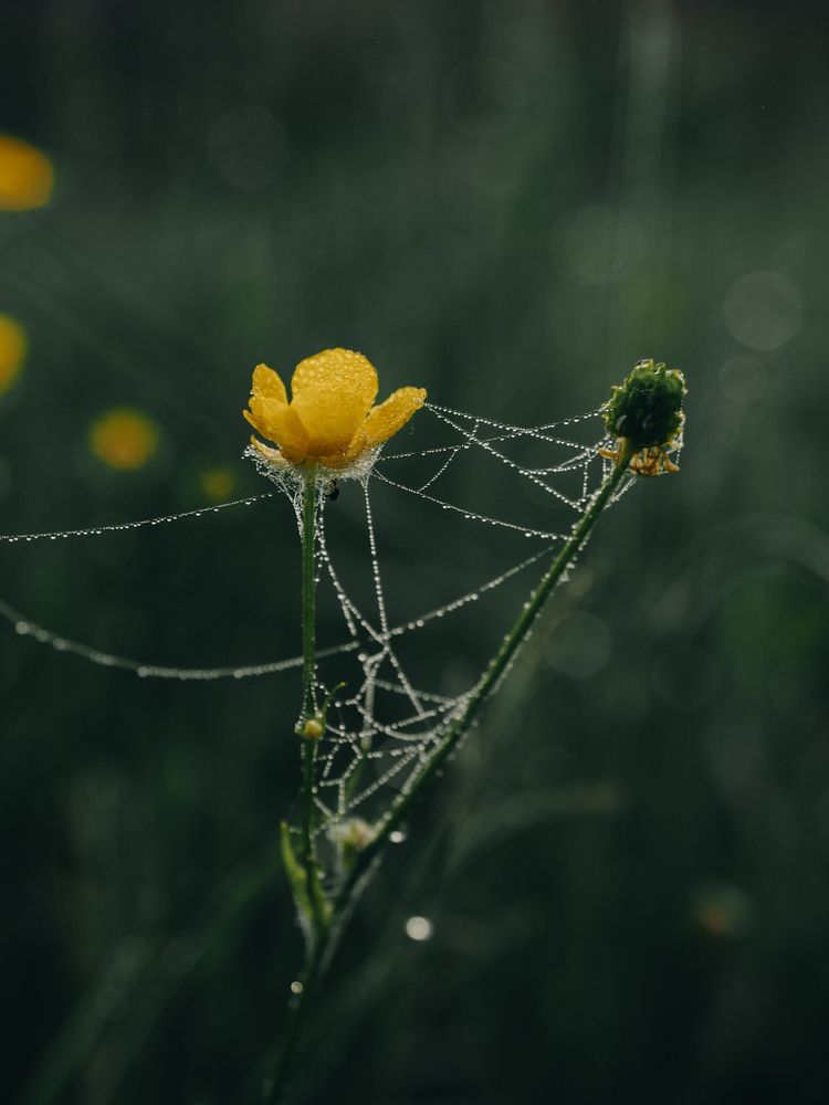 Photograph by Александра Шилова