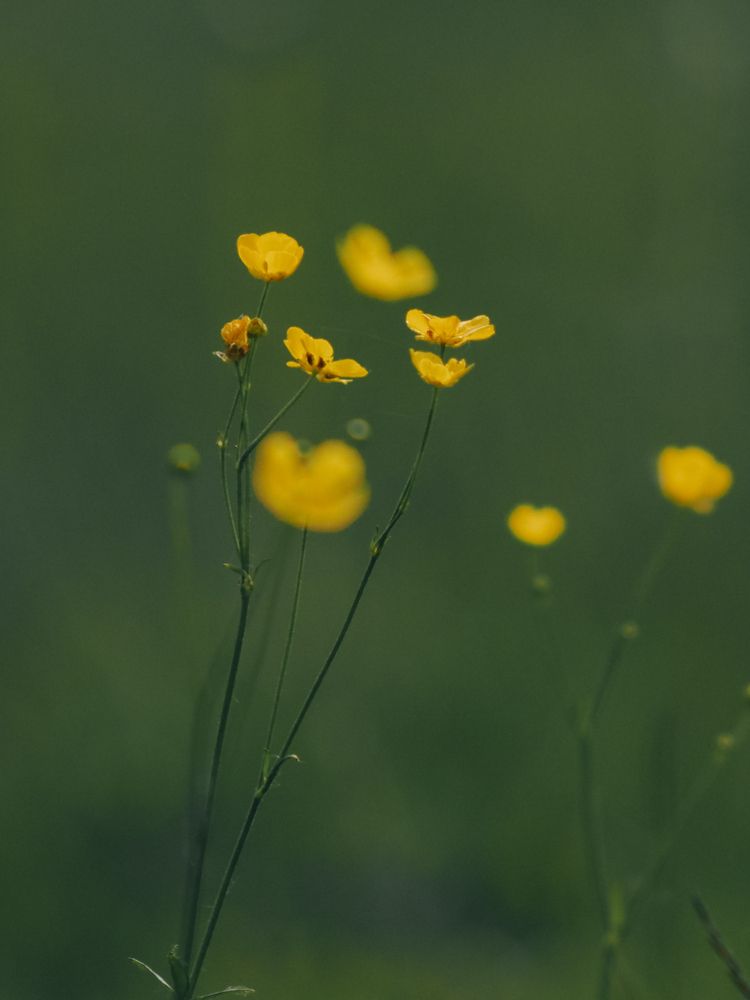 Photograph by Александра Шилова