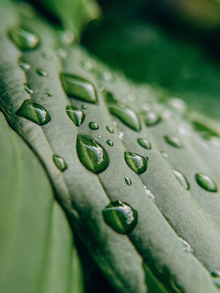 Фотография автора Анастасия